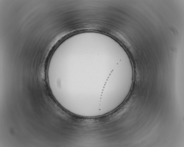 X0000113270883200910081358