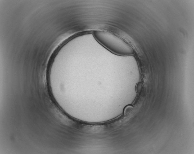 X0000113270884200910081358