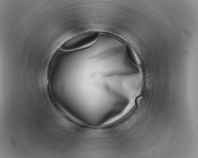 X0000113270885200910081358