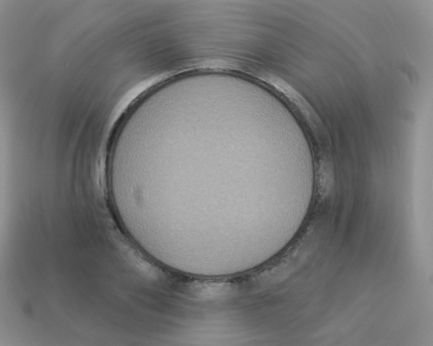 X0000113270886200910081358