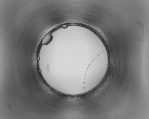 X0000113270887200910081358