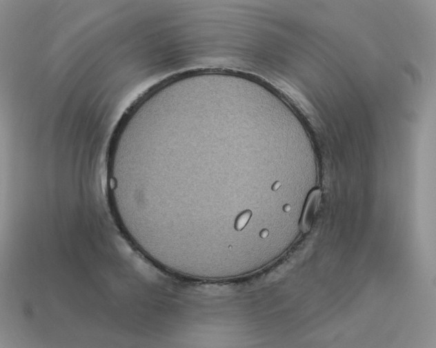 X0000113270888200910081358