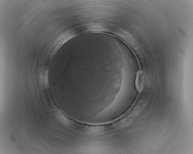 X0000113270889200910081358