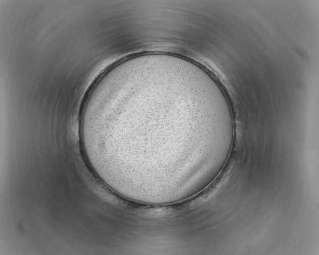 X0000113270891200910081358