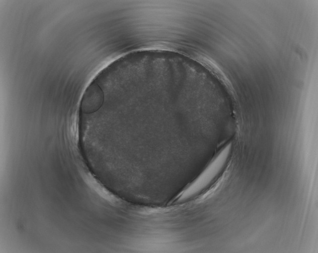 X0000113270892200910081358