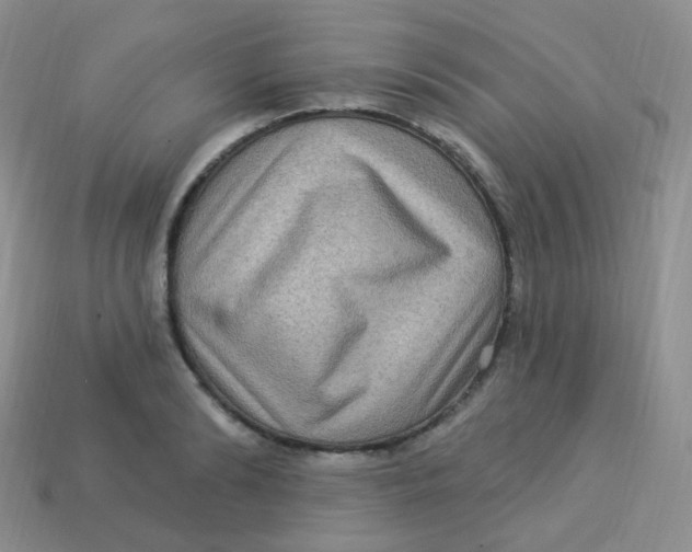 X0000113270894200910081358