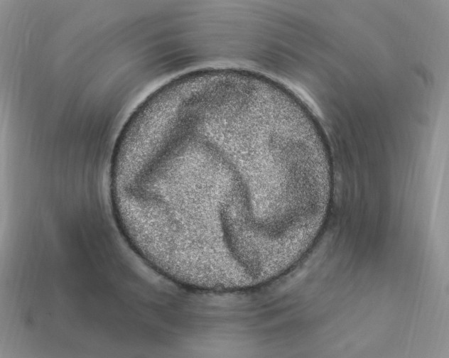 X0000113270895200910081358