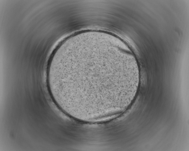 X0000113270896200910081358