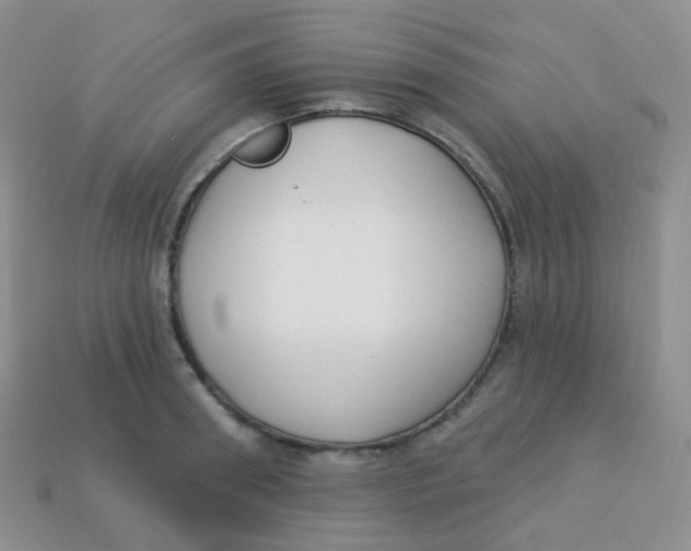 X0000113270898200910081358