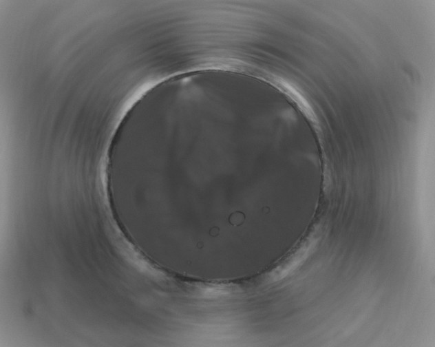 X0000113270899200910081358