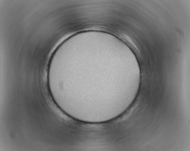 X0000113270900200910081358