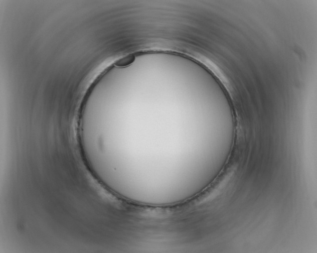 X0000113270901200910081358