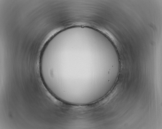 X0000113270902200910081358