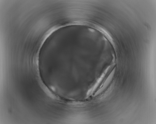 X0000113270907200910081358