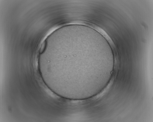 X0000113270908200910081358