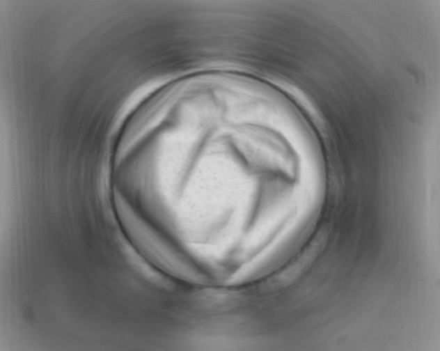 X0000113270910200910081358