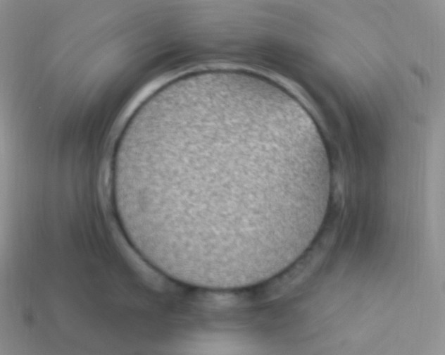 X0000113270911200910081358