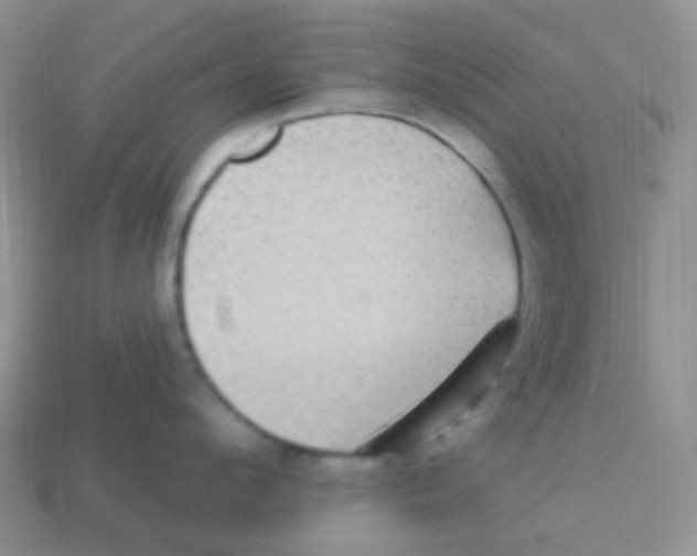 X0000113270912200910081358