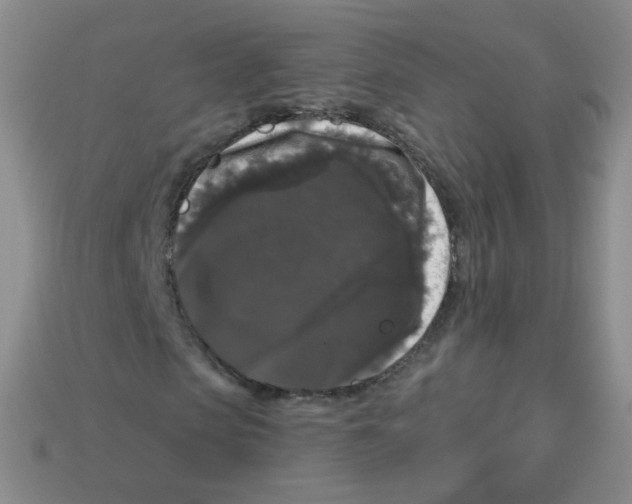 X0000113270913200910081357