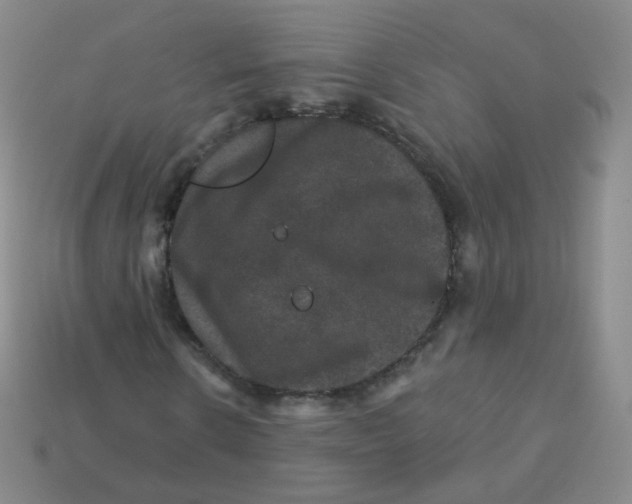 X0000113270914200910081357