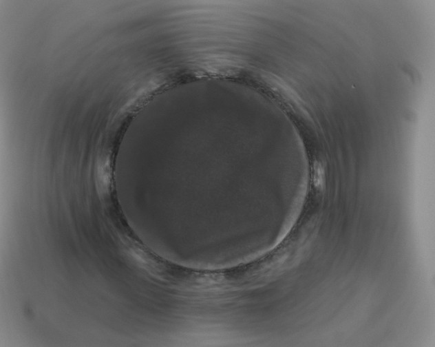 X0000113270915200910081357