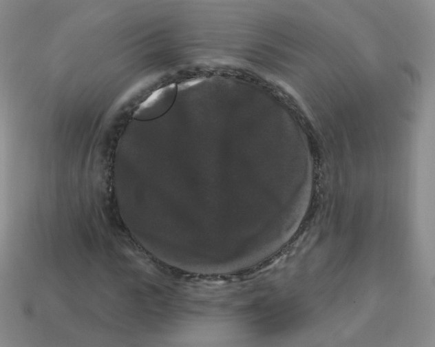 X0000113270919200910081357