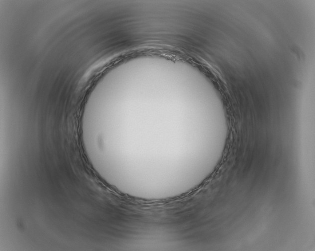 X0000113270920200910081357