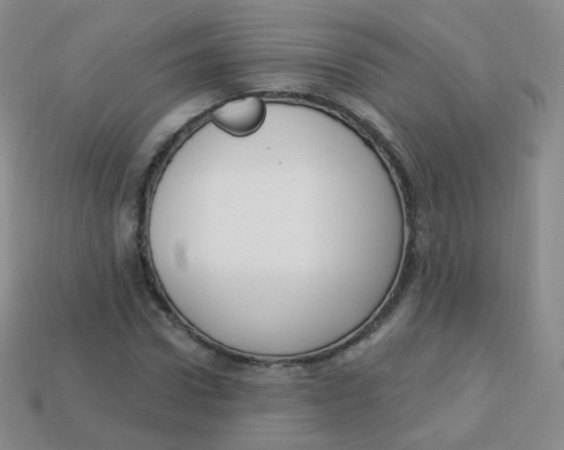 X0000113270922200910081357