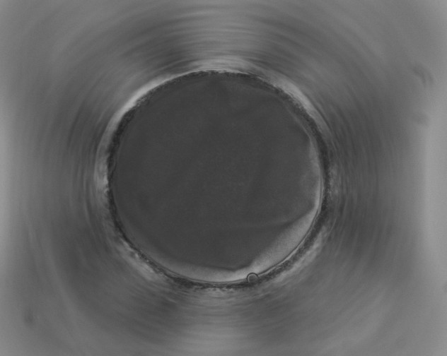 X0000113270923200910081357