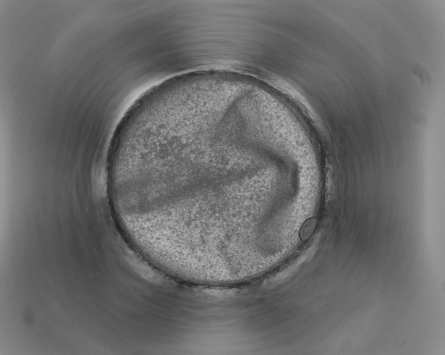 X0000113270924200910081357