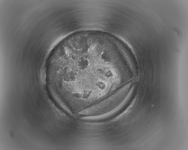 X0000113270925200910081357