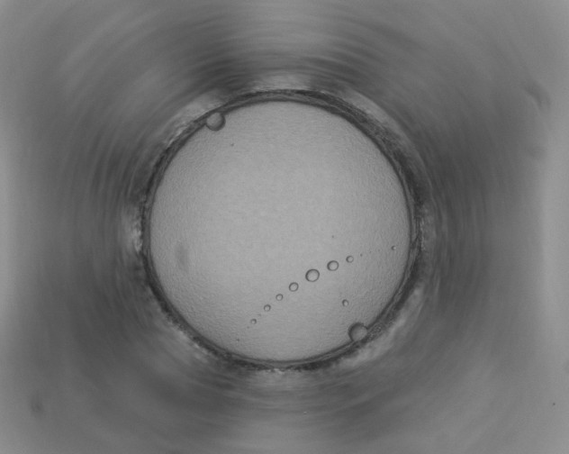 X0000113270929200910081357