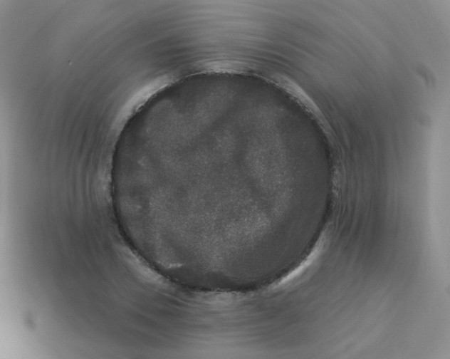 X0000113270930200910081357