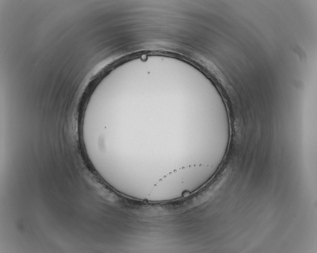 X0000113270931200910081357