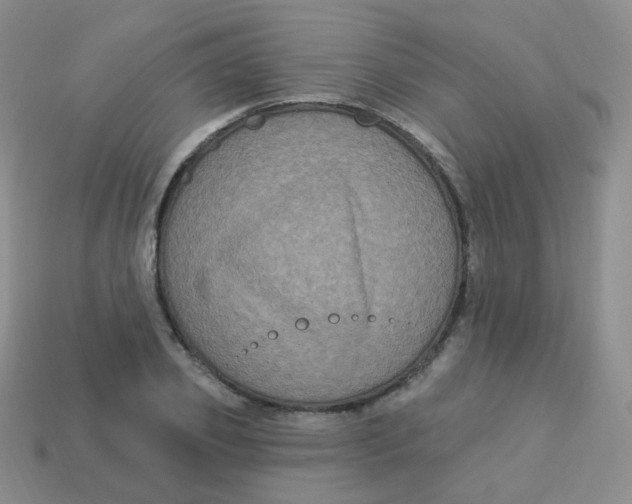 X0000113270933200910081357