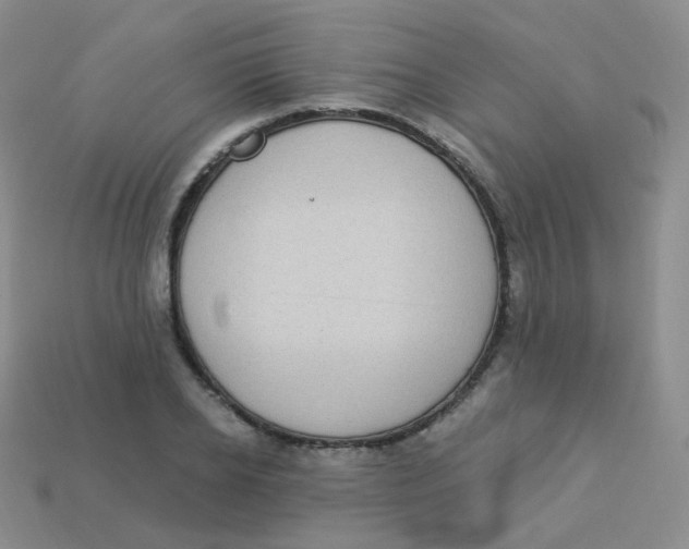 X0000113270934200910081357