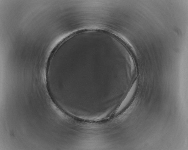 X0000113270935200910081357