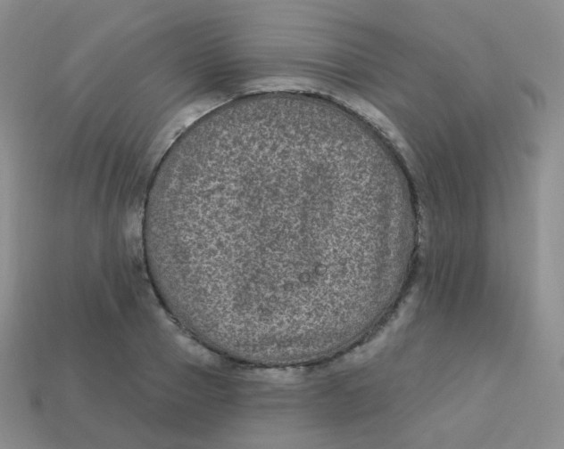 X0000113270937200910081357