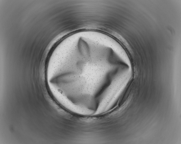 X0000113270939200910081357