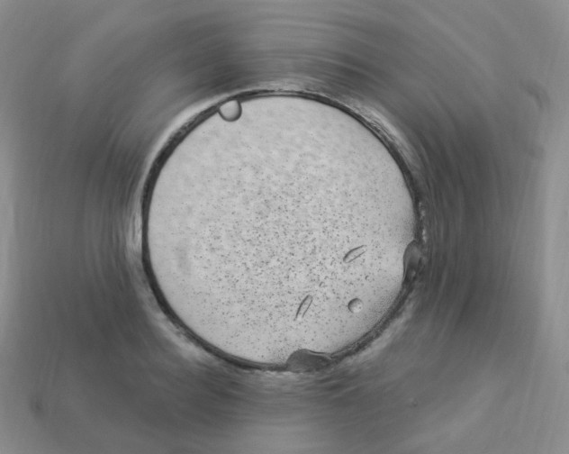 X0000113270940200910081357