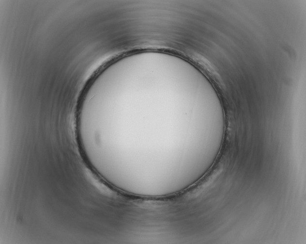 X0000113270942200910081357