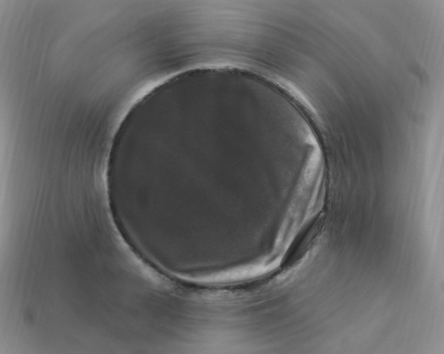 X0000113270943200910081357