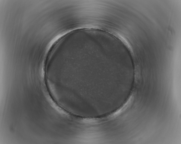 X0000113270944200910081357