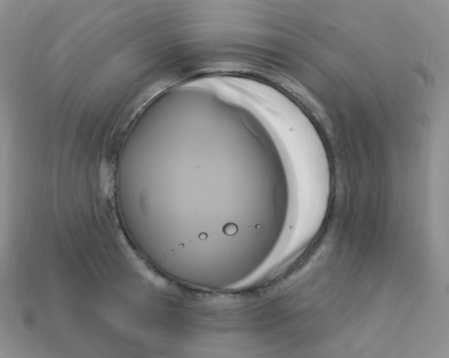 X0000113270945200910081357