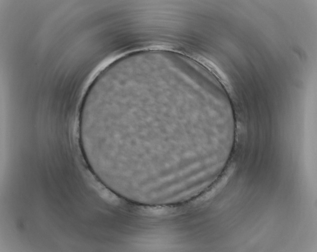 X0000113270948200910081357