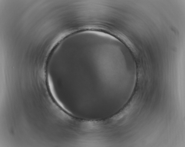 X0000113270950200910081357