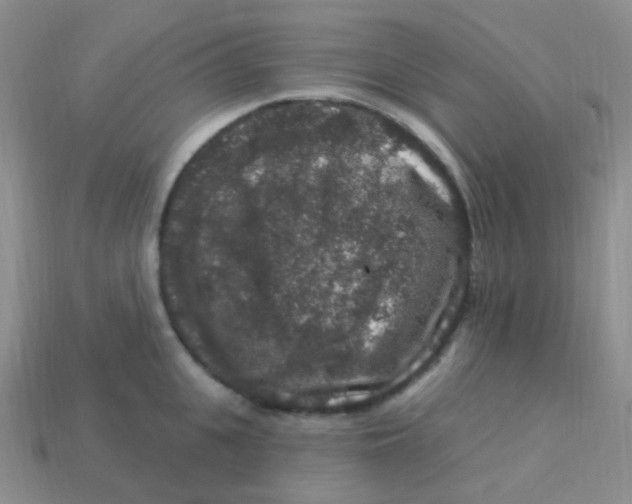 X0000113270951200910081357