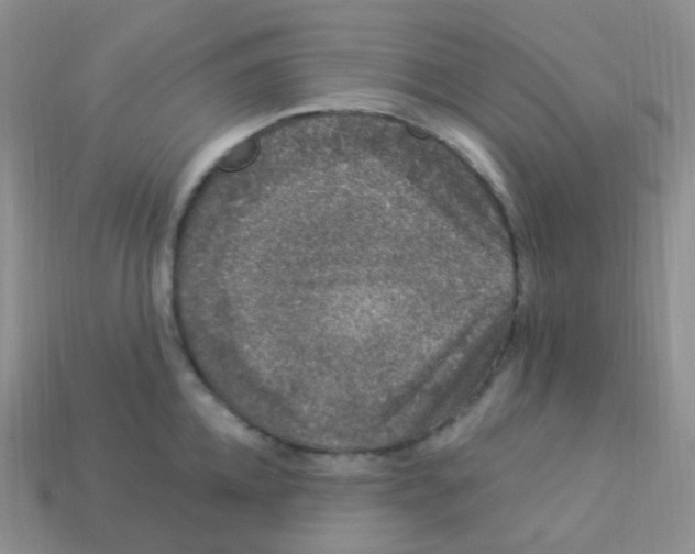 X0000113270952200910081357