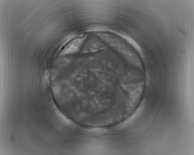 X0000113270953200910081357