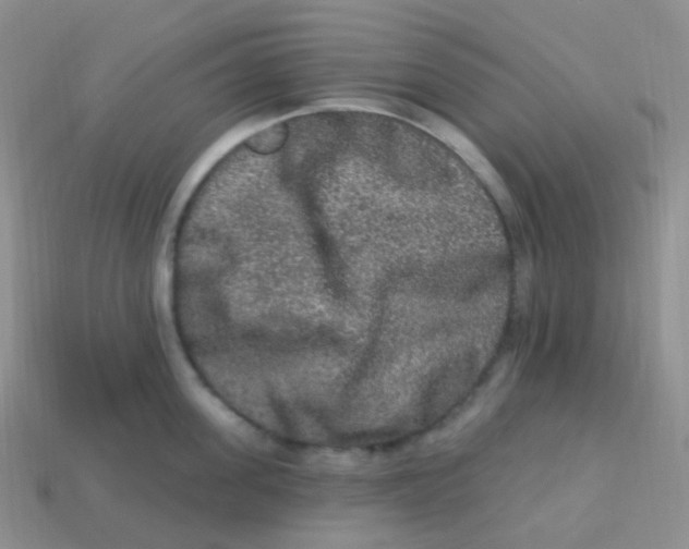 X0000113270955200910081357